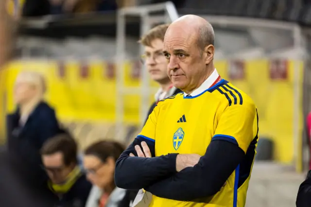 Swedish FA president Fredrik Reinfeldt