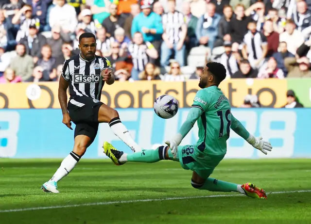 Wilson scores the fifth for Newcastle