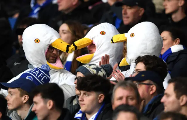 Fans dressed as seagulls sit in the stands at the Amex