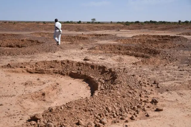 he Great Green Wall (GGBW) is a Pharaonic project of the African Union, which aims to restore 100 million hectares of dry land in Africa by 2030, along an 8,000 km strip stretching from Senegal to Djibouti, including Mauritania, Mali, Burkina Faso, Niger, Nigeria, Chad, Sudan, Eritrea and Ethiopia. The Niger part of the Great Green Wall is mainly made up of Acacia (white gum) and Bauhinia trees, two very drought-resistant species that can reach heights of twelve metres.