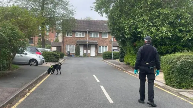 A police sniffer dog sweeps through the streets around the police cordon in Hainault, north east London, where a 14-year-old boy was killed in a sword attack on Tuesday, that saw four others injured, including two Metropolitan Police officers