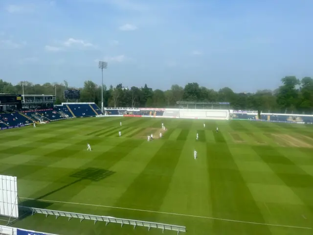 Sophia Gardens