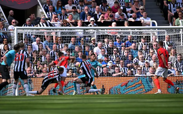 Joel Veltman of Brighton & Hove Albion scores