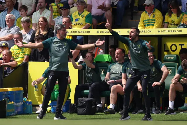 Norwich head coach David Wagner reacts to a decision