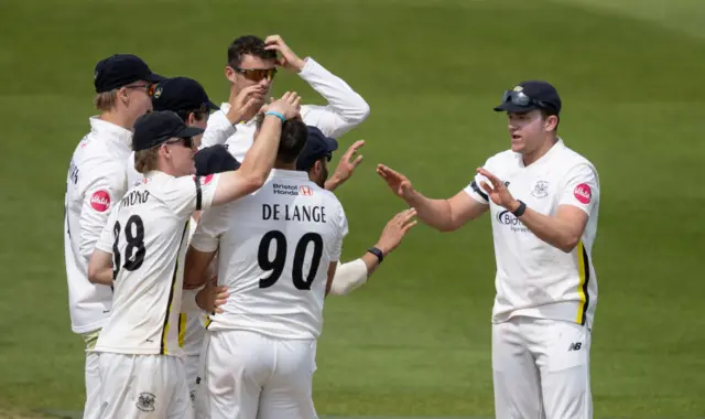 Gloucestershire players celebrate a wicket