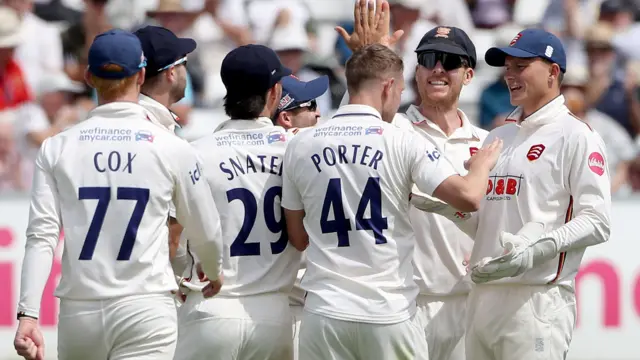 Essex celebrate taking wicket