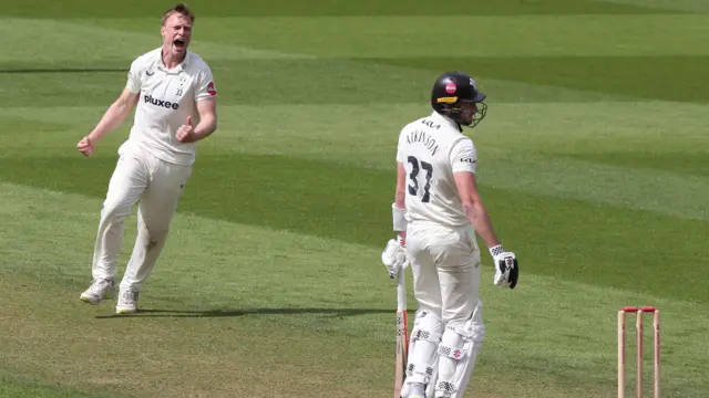 Worcestershire celebrate taking wicket