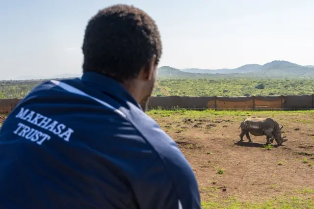 A white rhino at the Munywana Conservancy in South Africa