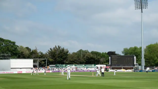 Cricket at Chelmsford