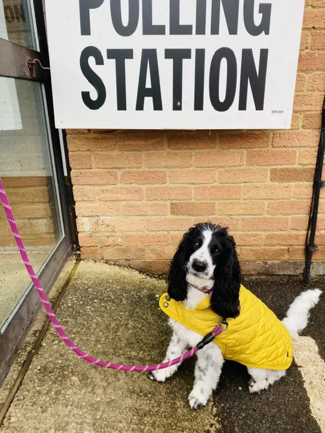 Polly the dog at the polling station in Cirencester