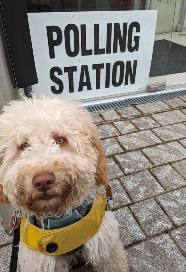 Rupert the dog outside polling station in Woodstock, Oxfordshire