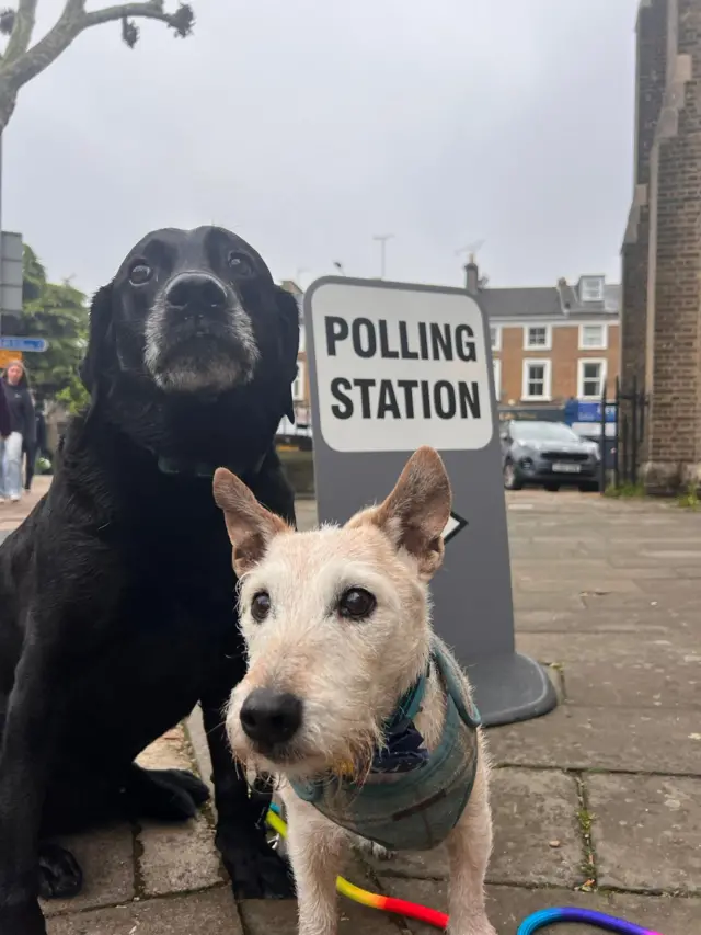 Dogs Dax and Cookie at a polling station