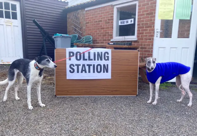 Two dogs on leads tied to a polling station sign