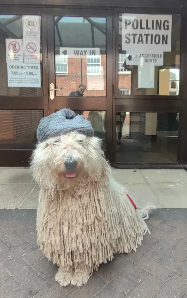 Monisha the dog outside polling station in Tutbury, Staffordshire