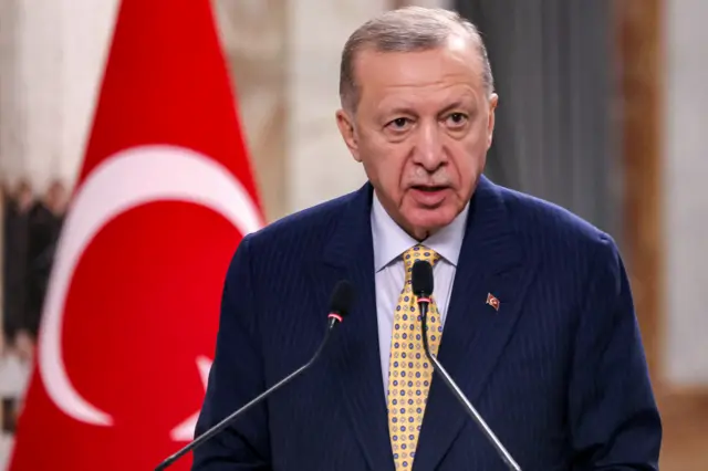 Recep Tayyip Erdogan, Turkey's President