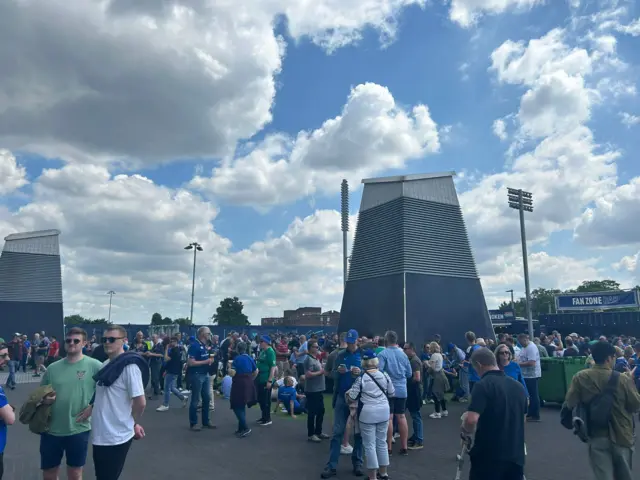 Leinster fans