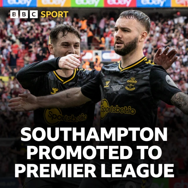 Southampton promoted