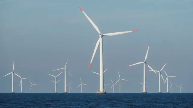 Dozens of wind turbines at sea