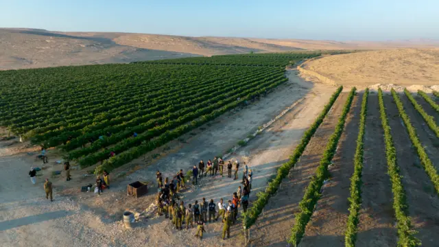 Israeli army officer cadets, who volunteered to harvest Chenin Blanc white wine grapes in the Nana Estate Winery vineyards, are briefed before starting to work at dawn on August 3, 2022 near Mitzpe Ramon in Israel's Negev Desert.