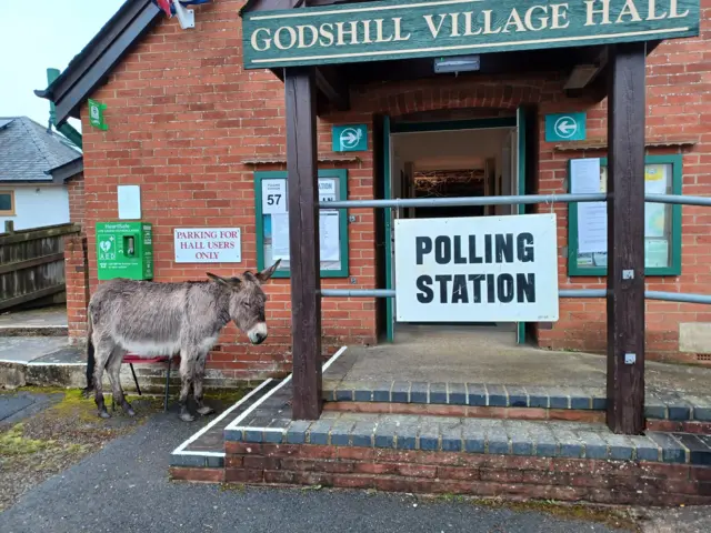 A donkey standing outside a polling station