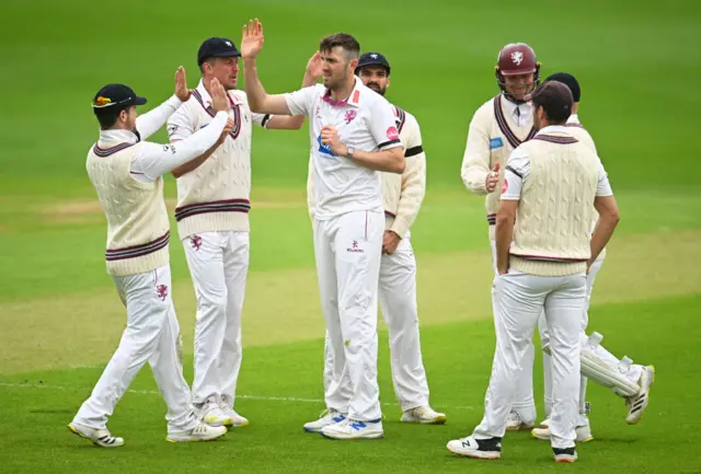 Somerset celebrate a Craig Overton wicket against Essex