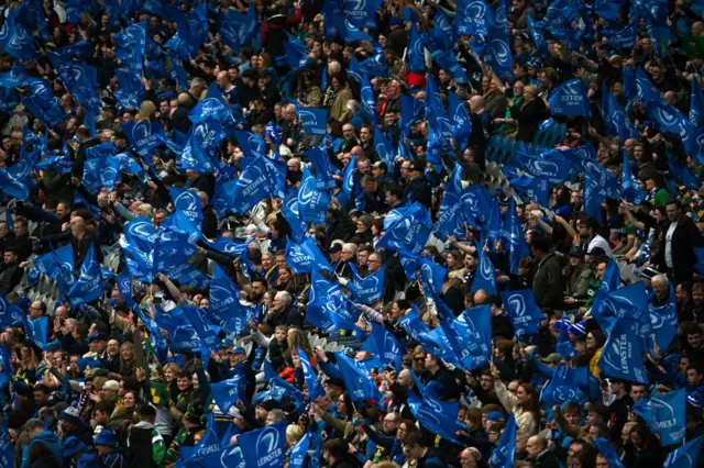 Leinster fans