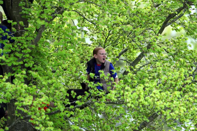 Girl in a tree