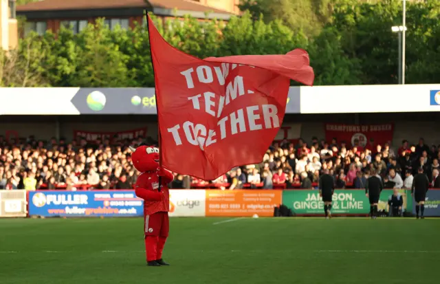 Crawley Red Devils mascot