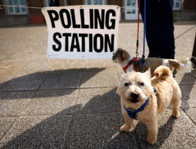 Two dogs in front of a sign with the words Polling Station