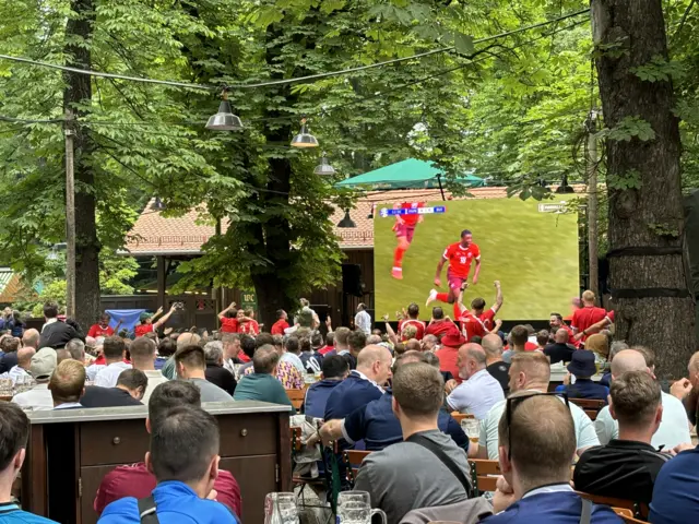 Swiss fans celebrate