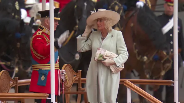 King and Queen salute at Trooping the Colour ceremony.