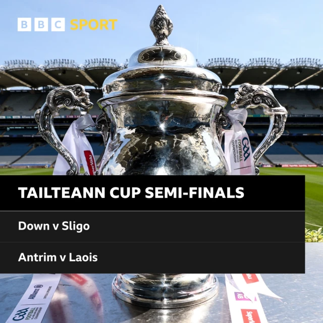 Tailteann Cup semi-finalists