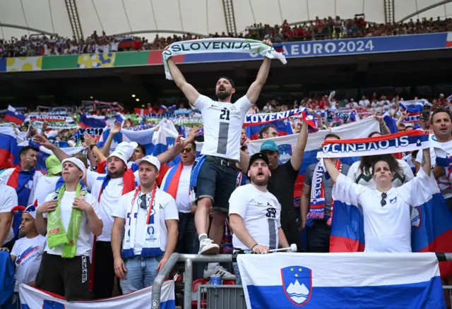 Slovenia fans