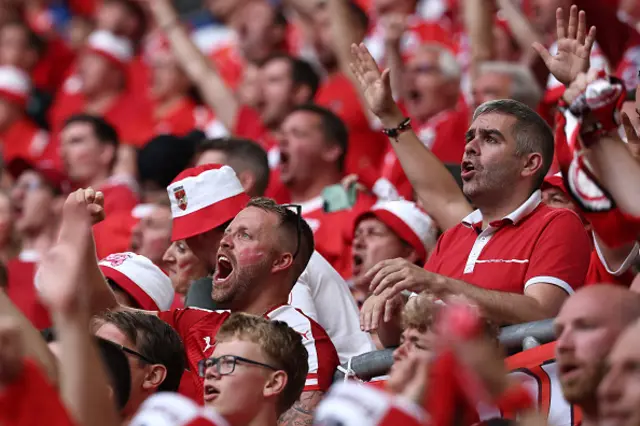 Austrian fans inside the stadium