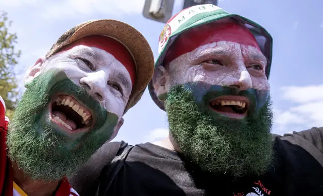 Hungary fan in the stands