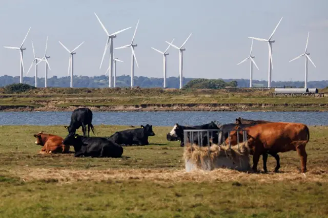 A wind farm in East Sussex, pictured last year