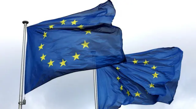 EU flags outside headquarters in Brussels