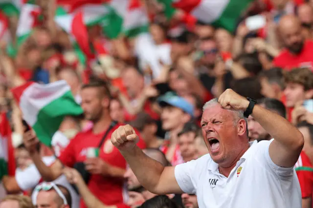 Hungary fan in the stands