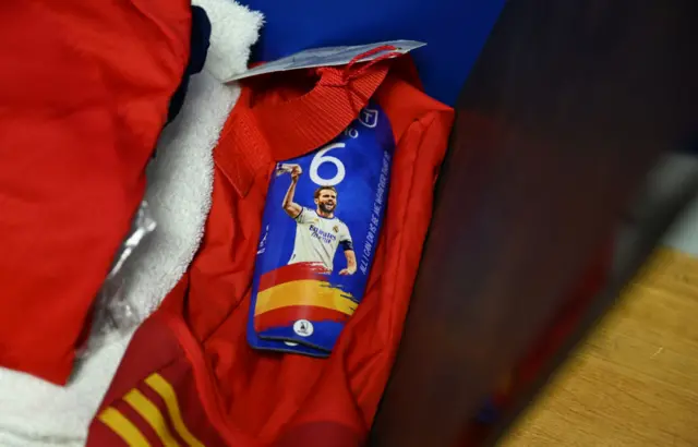 Spain shinpads