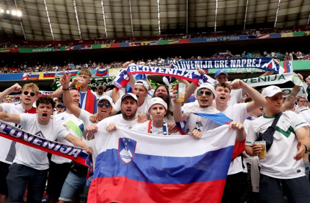 Slovenia fans