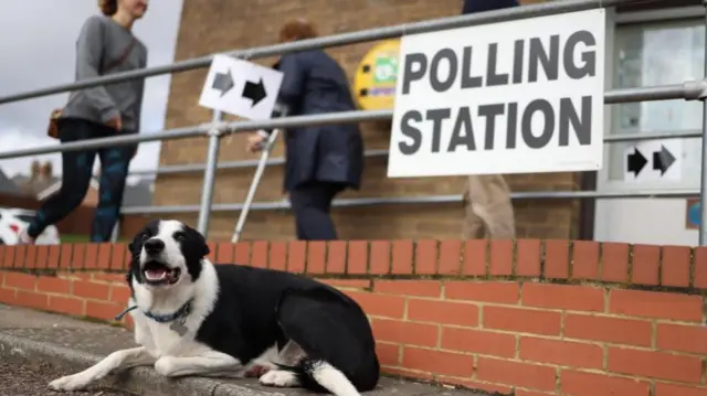 Speedy the dog waits at a polling station in Flitwick, Britain, 19 October 2023.