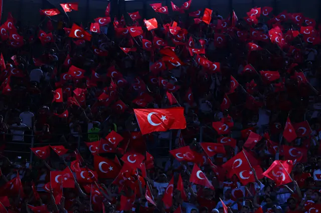 General View of Turkey fans