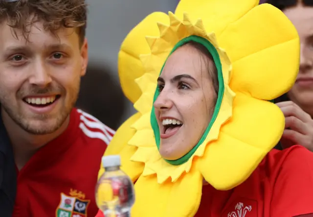 Wales supporters