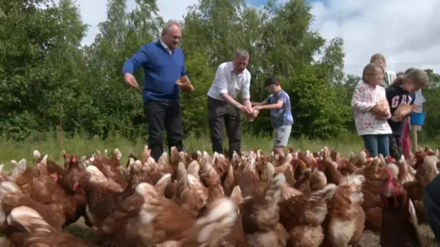 Sir Ed Davey feeds chicken in a blue shirt.