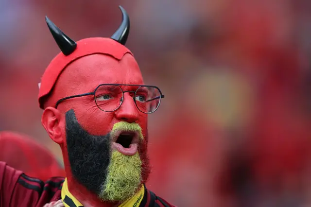 Belgium fan in the stands