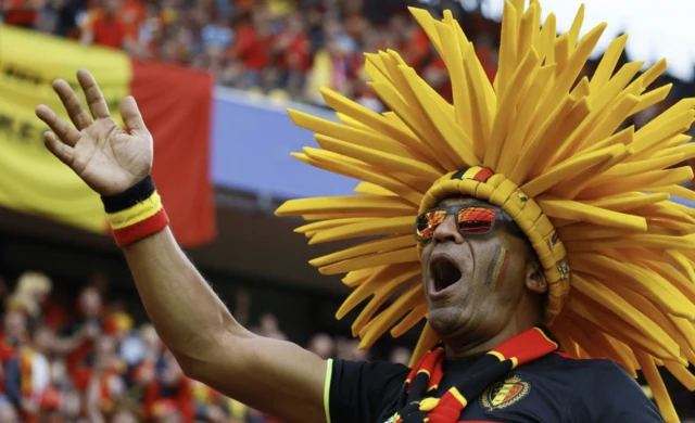 Belgium fan in the stands