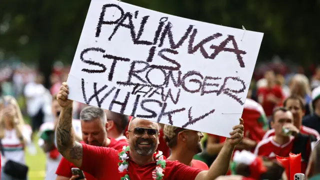 A Hungary fan in Stuttgart