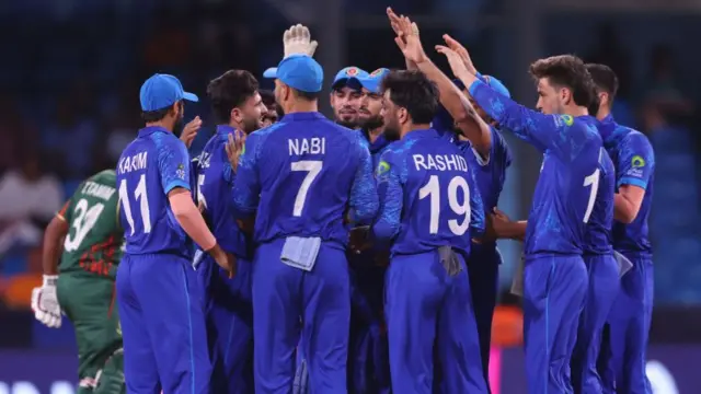 Afghanistan celebrate their wicket