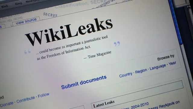 The Wikileaks webpage from 2010