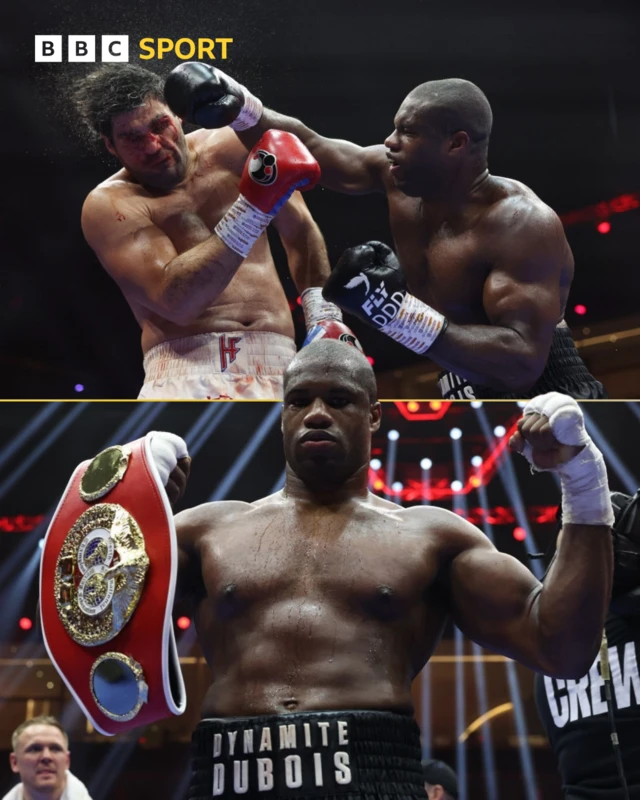 Split image of Daniel Dubois punching Filip Hgrovic and celebrating the win